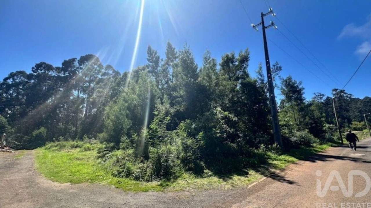Terreno para Venda em Arco de São Jorge Foto 8