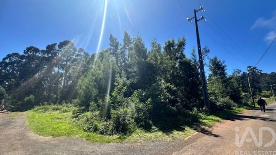 Terreno para Venda em Arco de São Jorge Foto 8