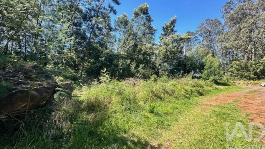 Terreno para Venda em Arco de São Jorge Foto 9