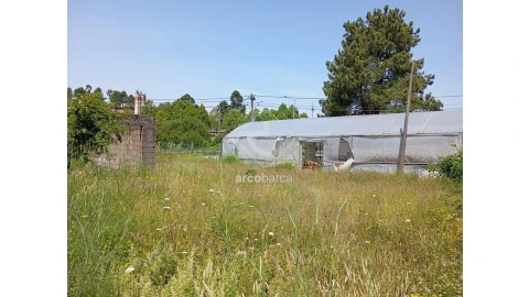 Terreno para Venda em Mazedo e Cortes