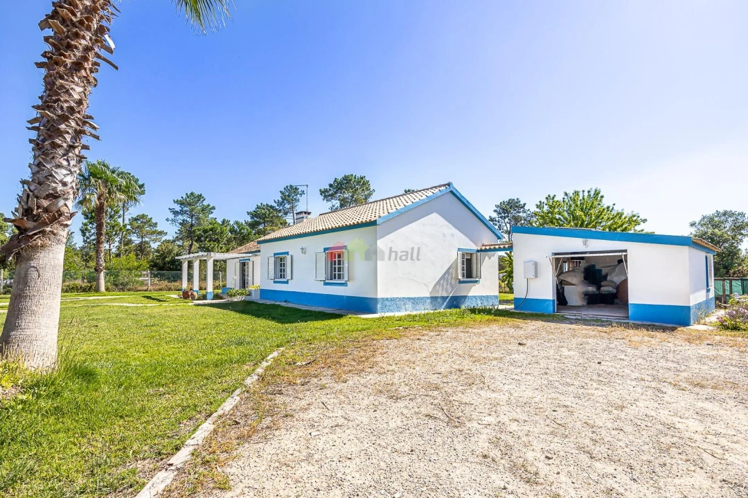 Quinta T4 para Venda em Azeitão (São Lourenço e São Simão) Foto 3