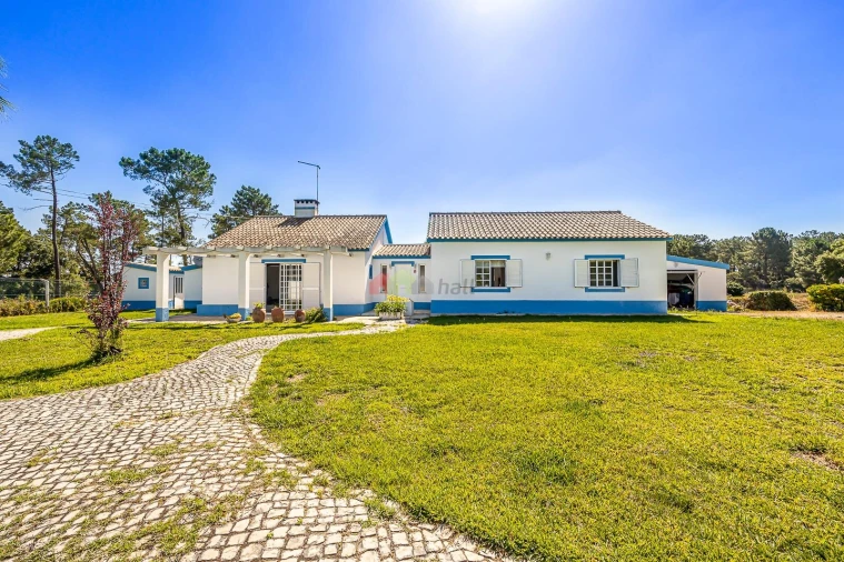 Quinta T4 para Venda em Azeitão (São Lourenço e São Simão) Foto 4