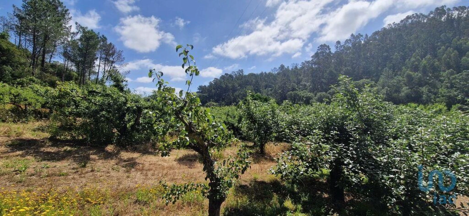 Terreno para Venda em Azueira e Sobral da Abelheira Foto 5