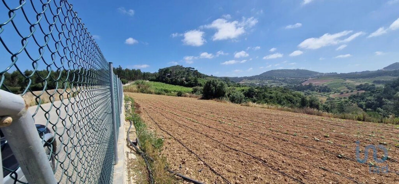 Terreno para Venda em Azueira e Sobral da Abelheira Foto 12