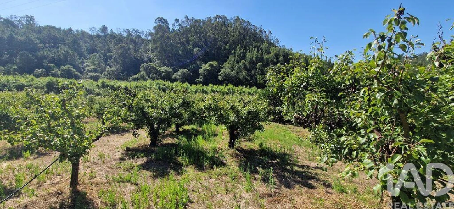 Terreno para Venda em Azueira e Sobral da Abelheira Foto 21