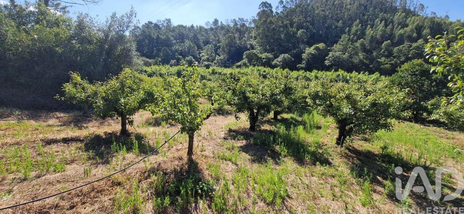 Terreno para Venda em Azueira e Sobral da Abelheira Foto 20
