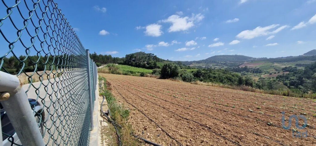 Terreno para Venda em Azueira e Sobral da Abelheira Foto 12