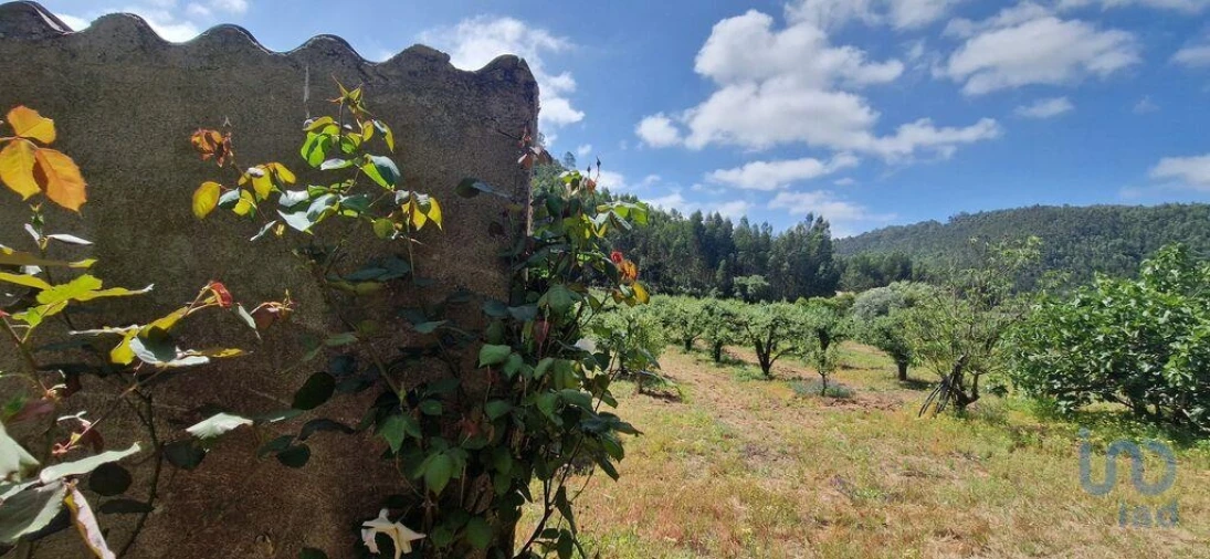 Terreno para Venda em Azueira e Sobral da Abelheira Foto 3