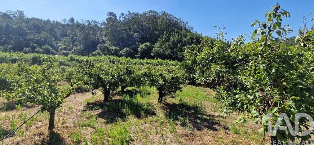 Terreno para Venda em Azueira e Sobral da Abelheira Foto 21
