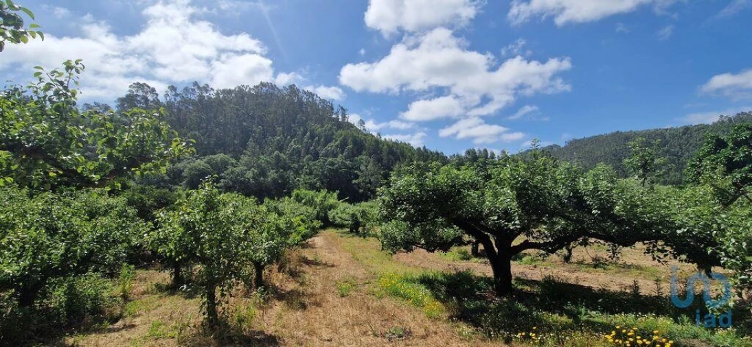 Terreno para Venda em Azueira e Sobral da Abelheira Foto 4