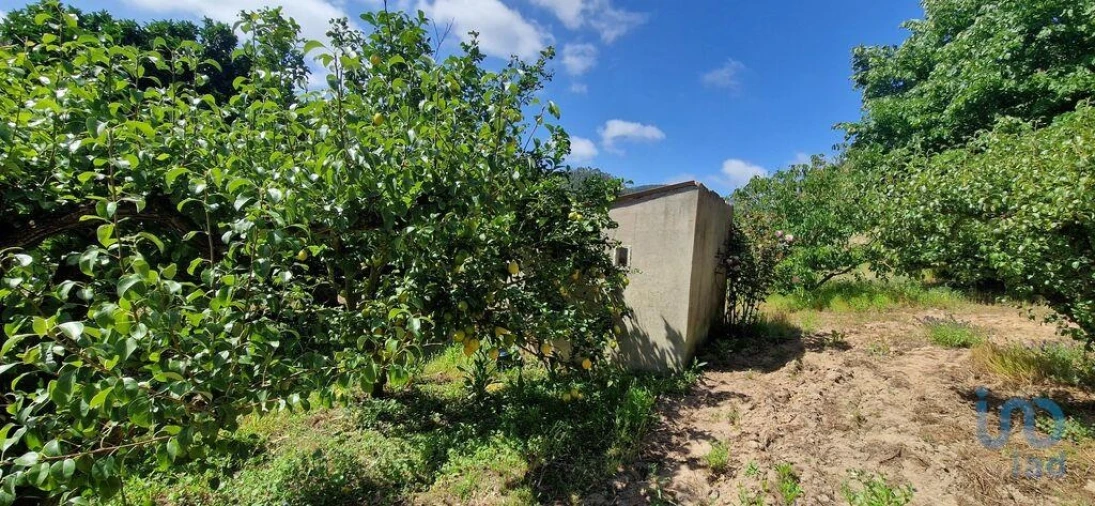 Terreno para Venda em Azueira e Sobral da Abelheira Foto 9