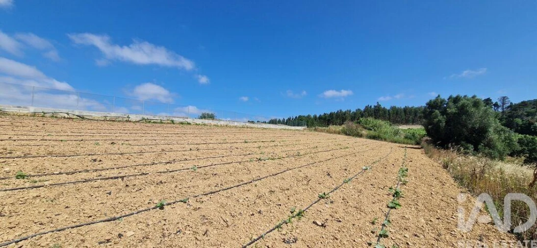 Terreno para Venda em Azueira e Sobral da Abelheira Foto 18