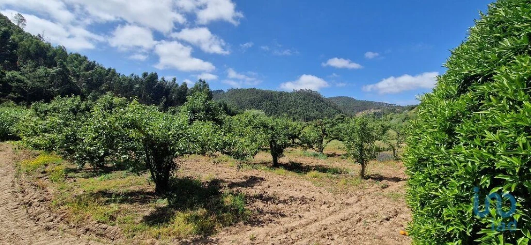 Terreno para Venda em Azueira e Sobral da Abelheira Foto 6