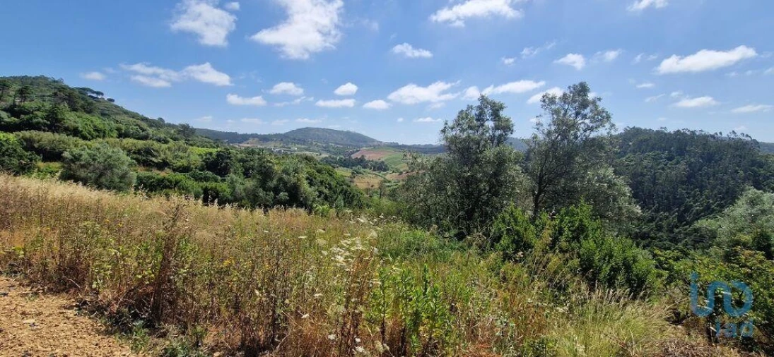 Terreno para Venda em Azueira e Sobral da Abelheira Foto 14