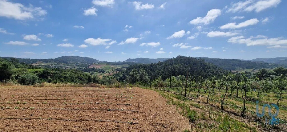 Terreno para Venda em Azueira e Sobral da Abelheira Foto 13