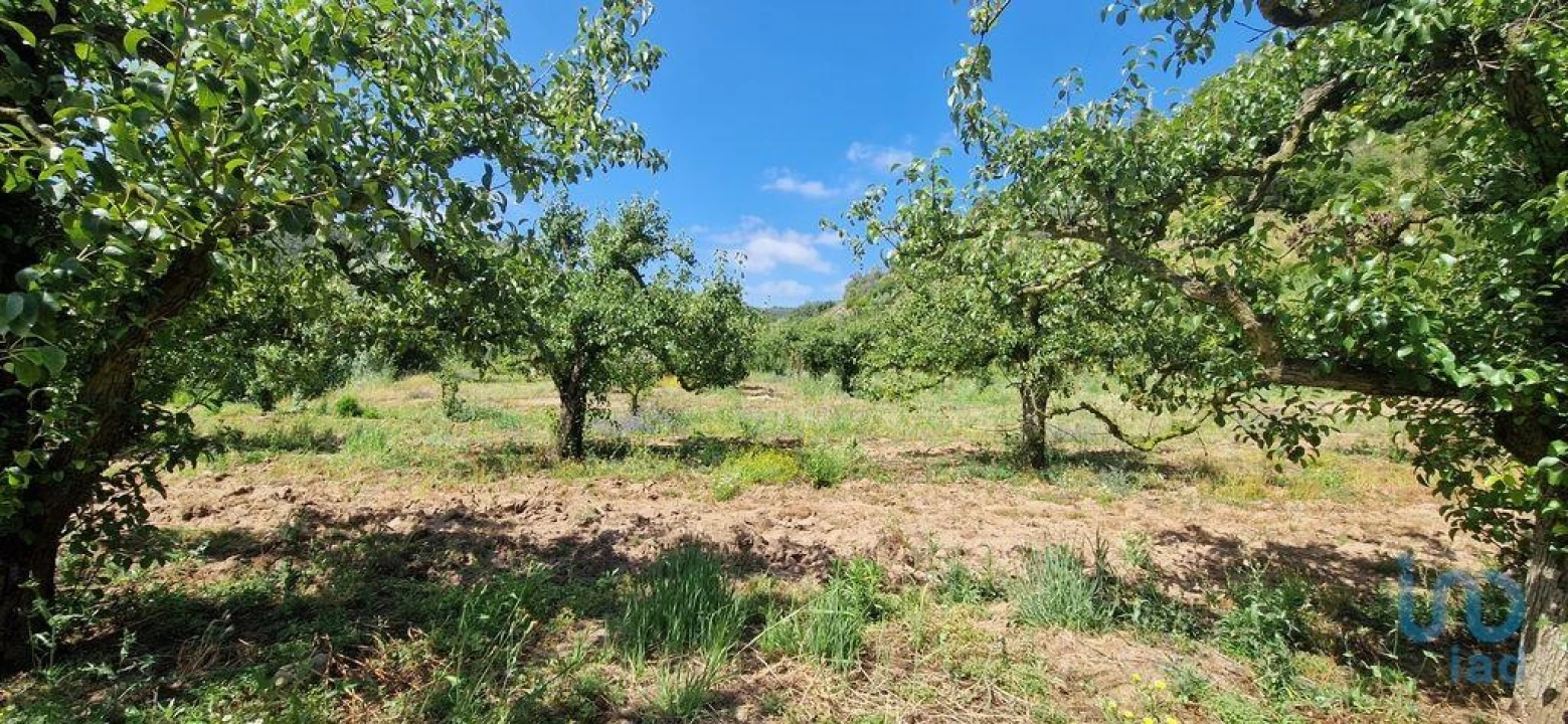 Terreno para Venda em Azueira e Sobral da Abelheira Foto 1