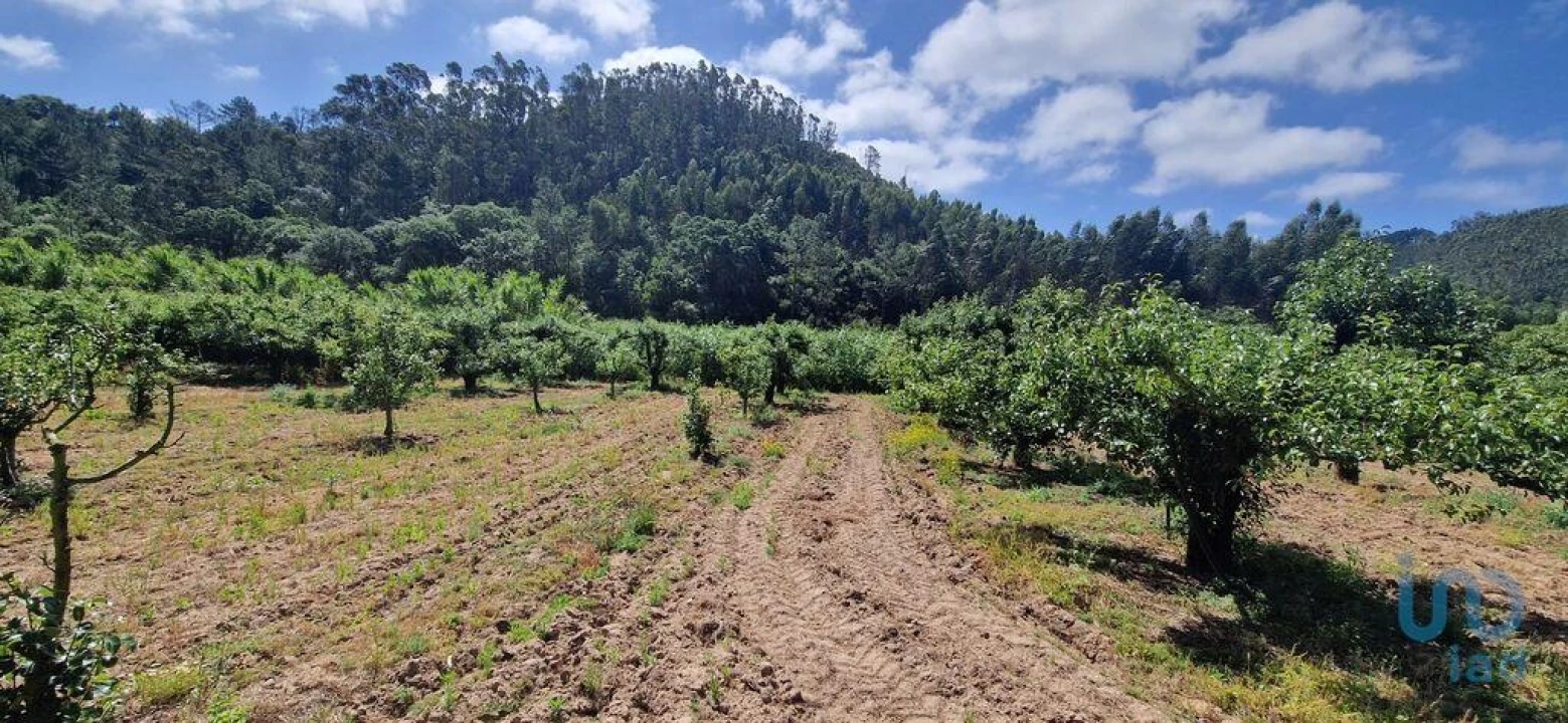 Terreno para Venda em Azueira e Sobral da Abelheira Foto 7
