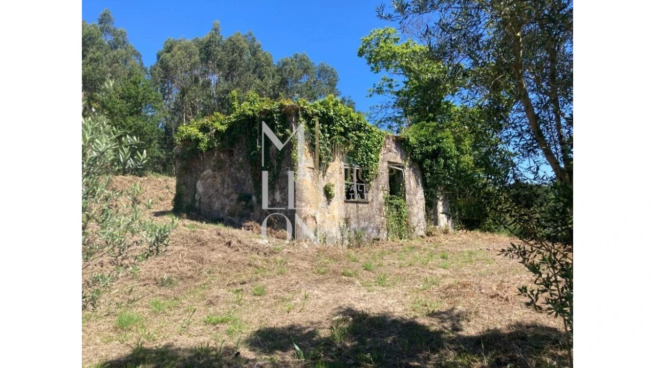 Moradia T2 para Venda em Ardegão, Freixo e Mato Foto 1
