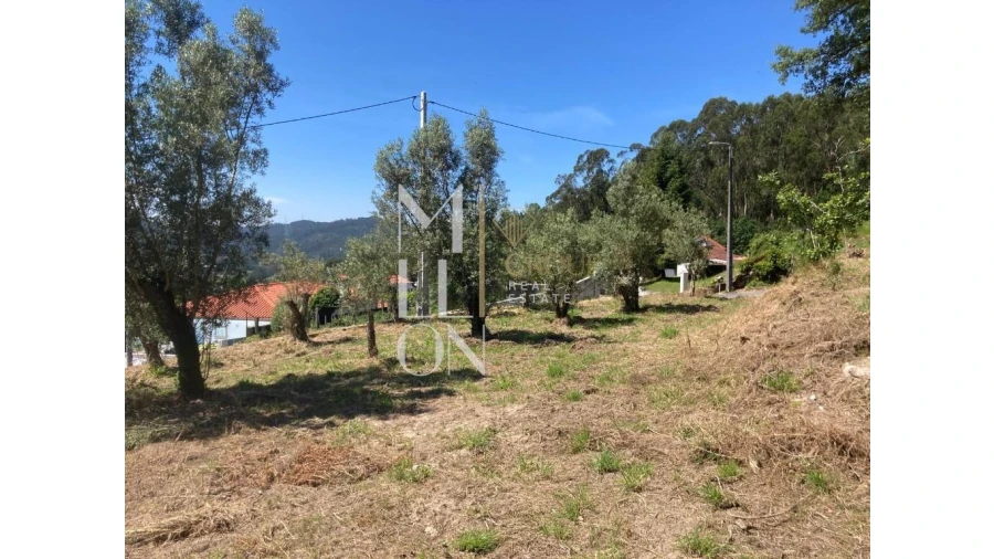 Moradia T2 para Venda em Ardegão, Freixo e Mato Foto 4