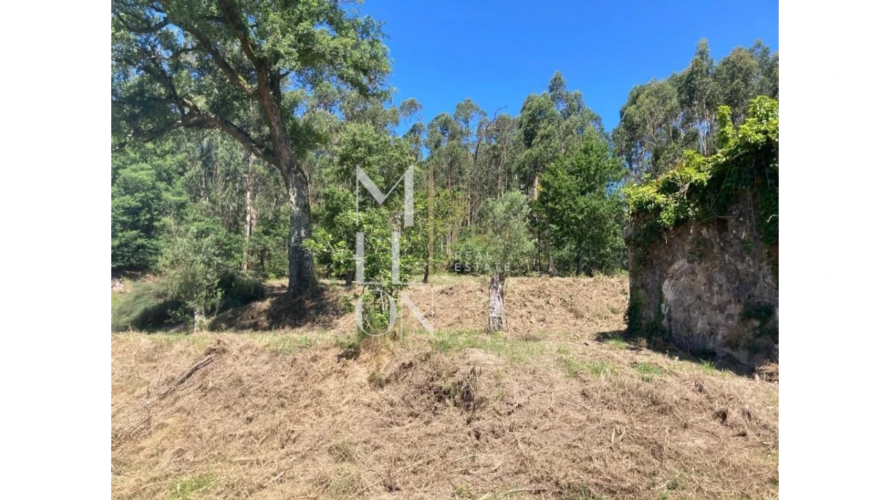 Moradia T2 para Venda em Ardegão, Freixo e Mato Foto 5