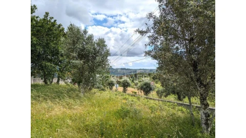 Terreno para Venda em Fragosela