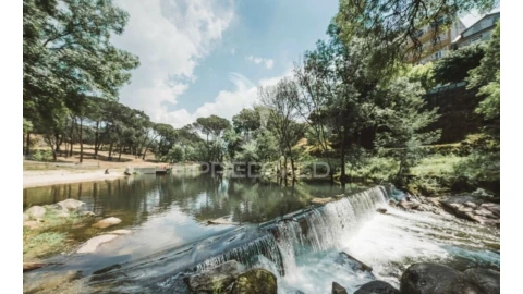 Terreno para Venda em Fragosela