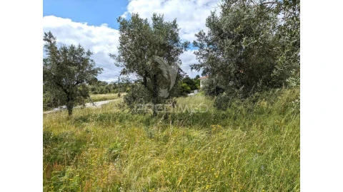 Terreno para Venda em Fragosela