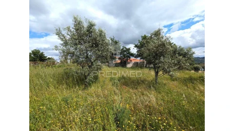 Terreno para Venda em Fragosela