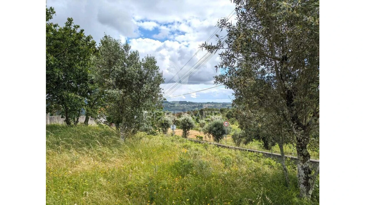 Terreno para Venda em Fragosela Foto 1