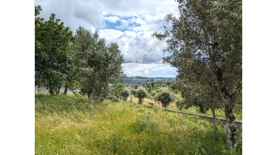 Terreno para Venda em Fragosela