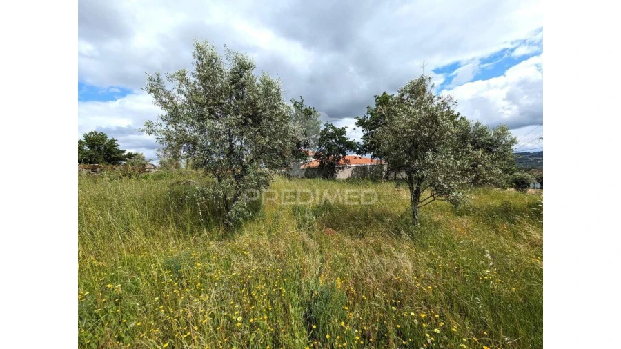 Terreno para Venda em Fragosela Foto 2