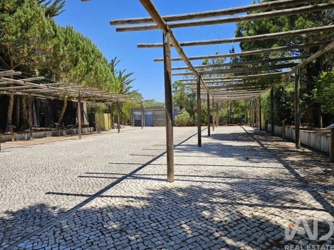 Moradia T2 para Venda em Carvalhal Foto 28