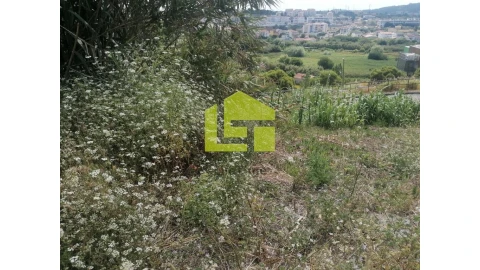 Terreno para Venda em Tavarede