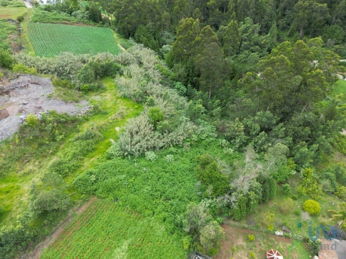 Terreno para Venda em Arco de São Jorge Foto 2