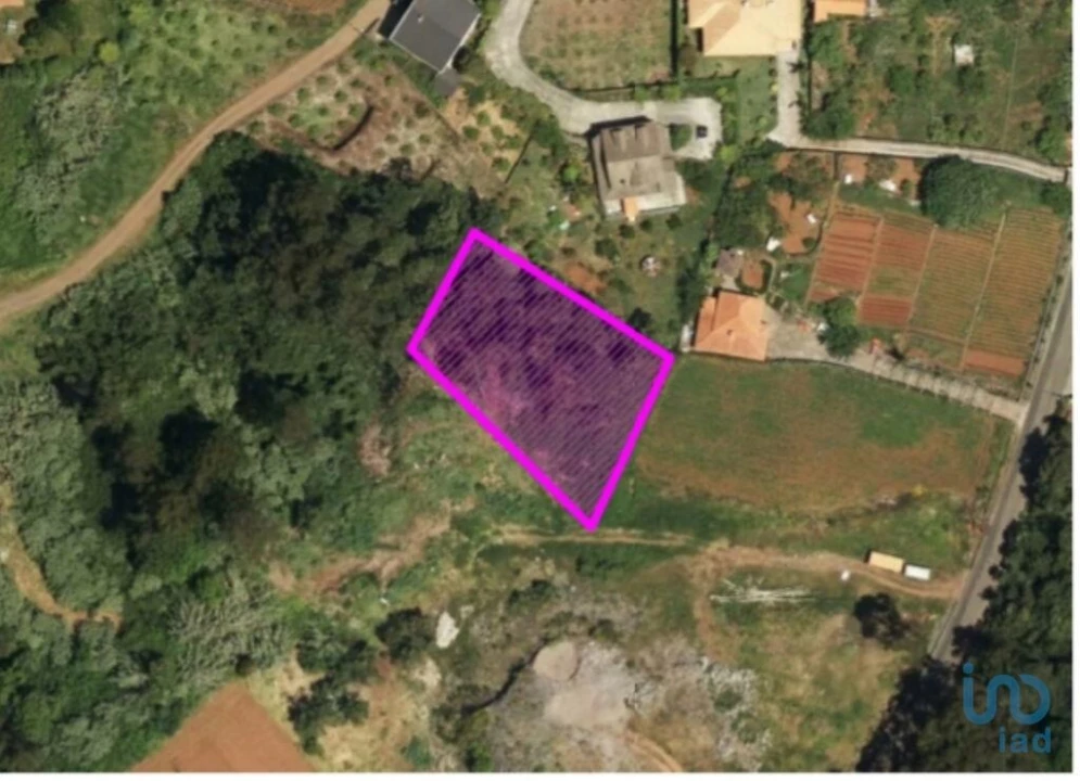 Terreno para Venda em Arco de São Jorge Foto 5