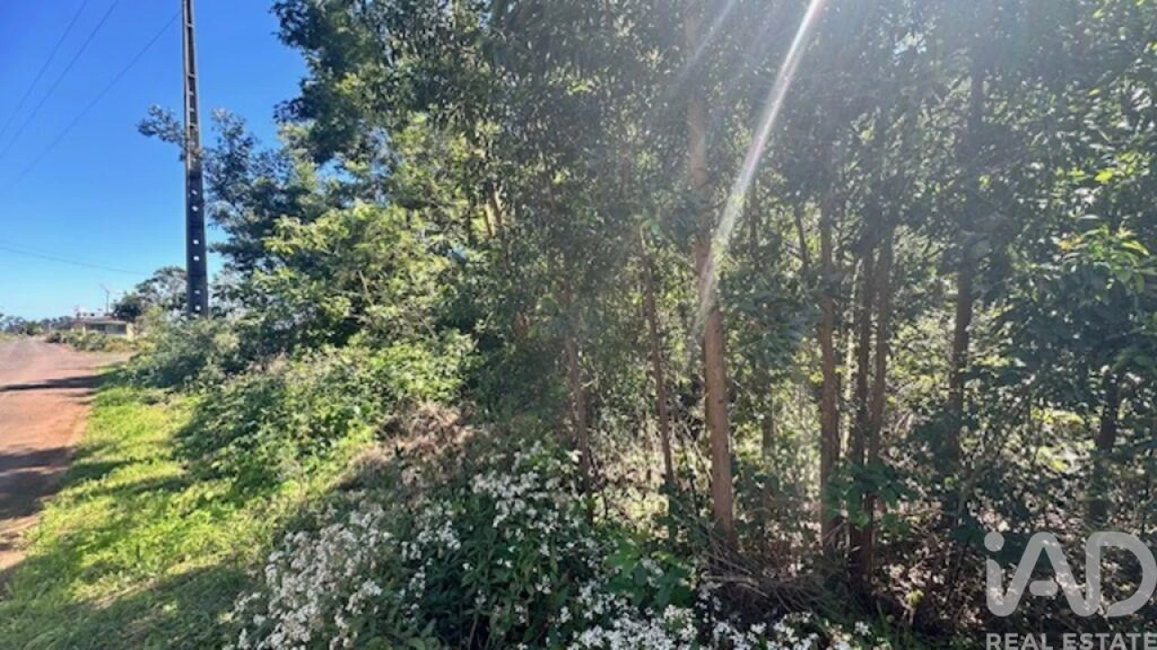 Terreno para Venda em Arco de São Jorge Foto 3