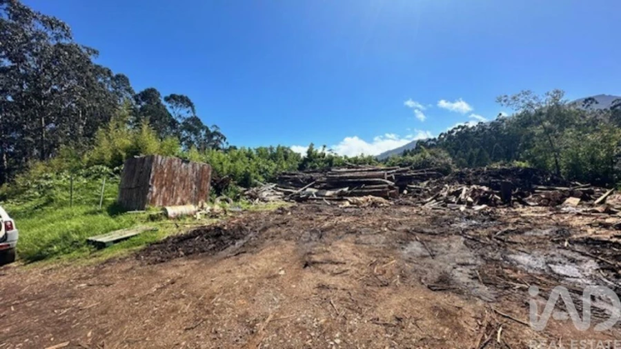 Terreno para Venda em Arco de São Jorge Foto 9