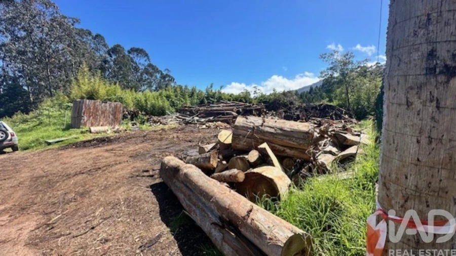 Terreno para Venda em Arco de São Jorge Foto 7