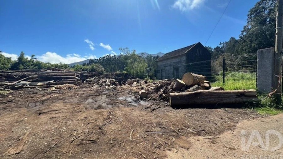 Terreno para Venda em Arco de São Jorge Foto 8