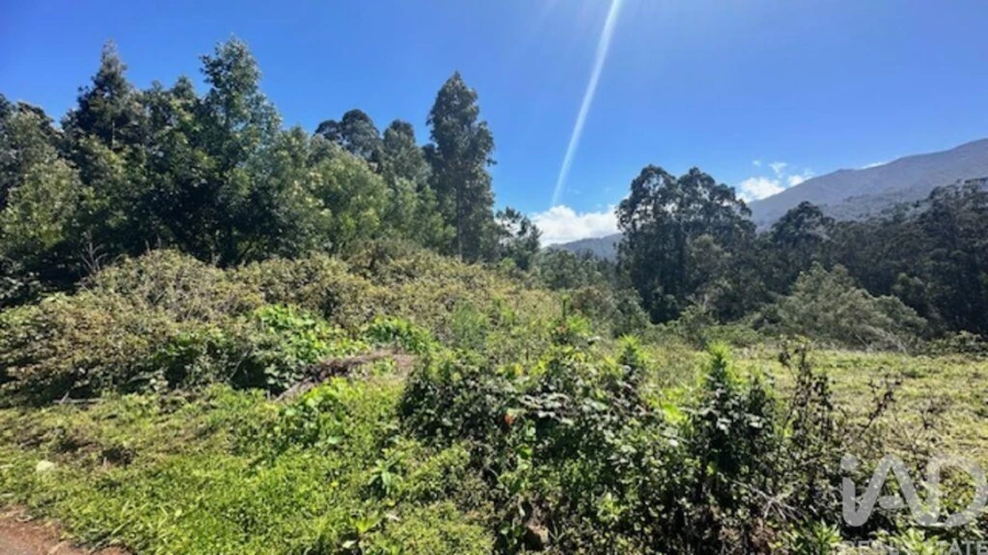 Terreno para Venda em Arco de São Jorge Foto 5