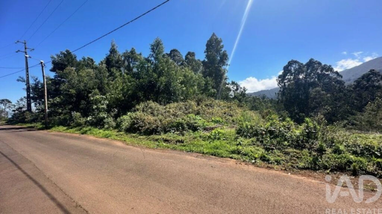 Terreno para Venda em Arco de São Jorge Foto 6