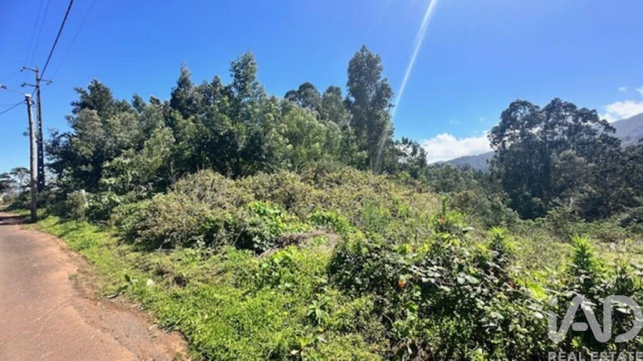Terreno para Venda em Arco de São Jorge Foto 4