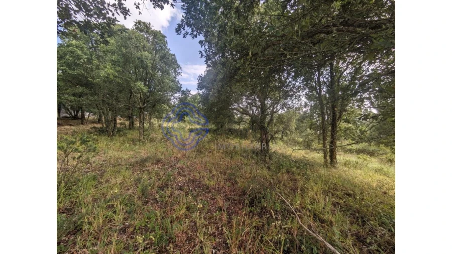 Terreno para Venda em Gaeiras Foto 12