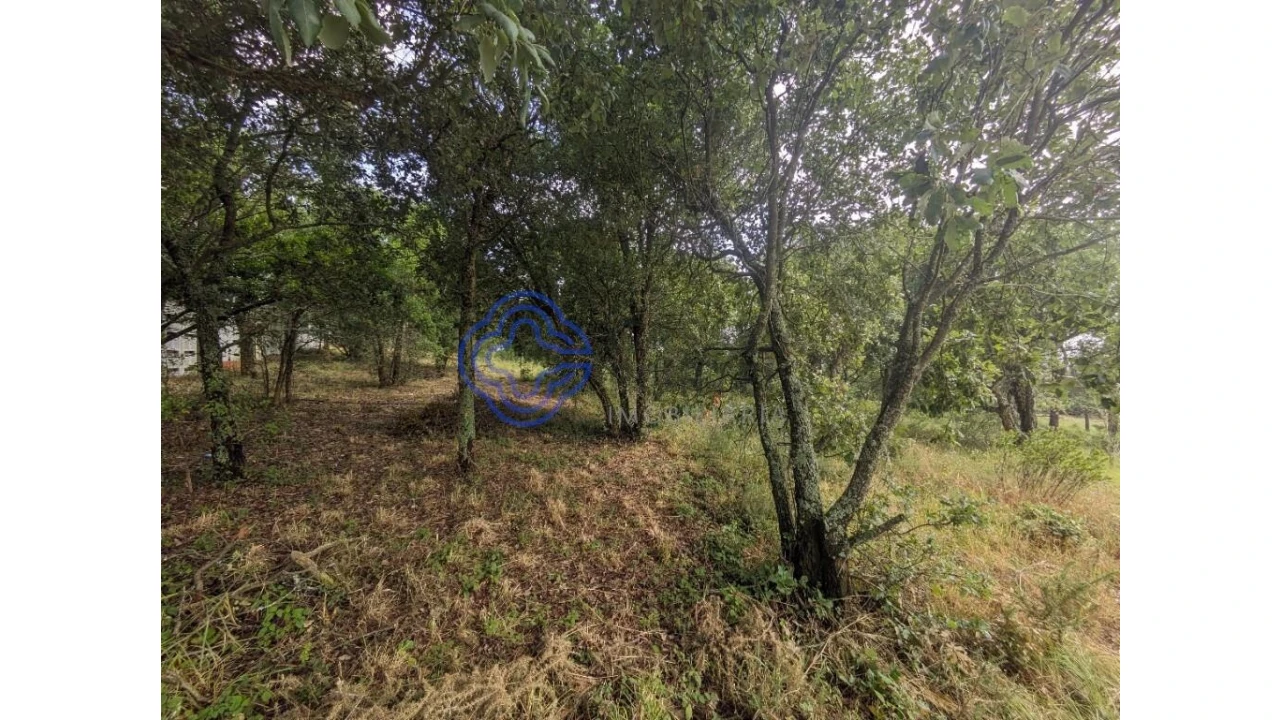 Terreno para Venda em Gaeiras Foto 5