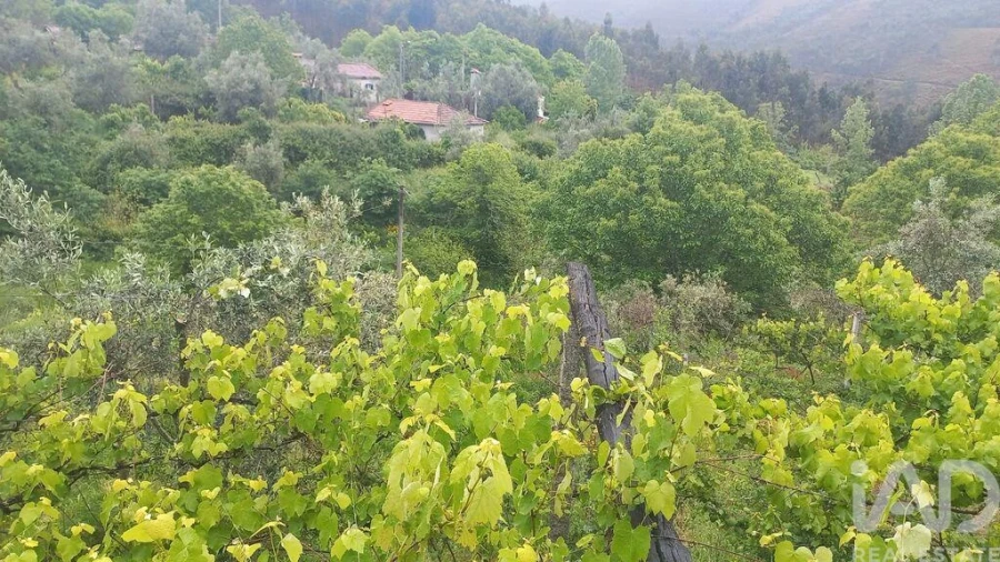 Moradia T6 para Venda em Real Foto 27