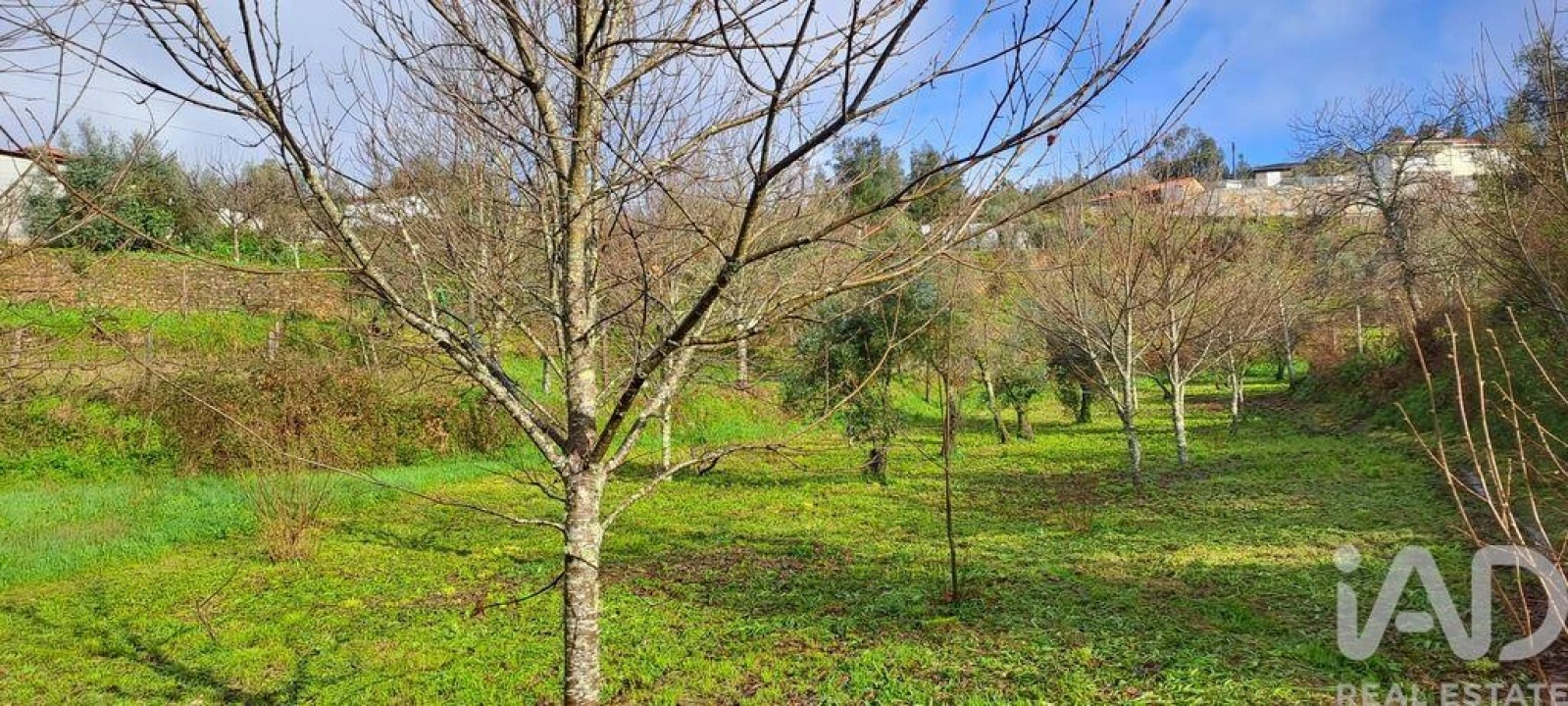 Moradia T6 para Venda em Real Foto 26