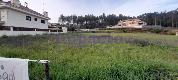 Terreno para Venda em Canedo, Vale e Vila Maior