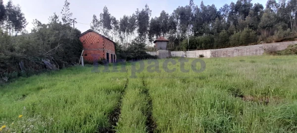Terreno para Venda em Canedo, Vale e Vila Maior