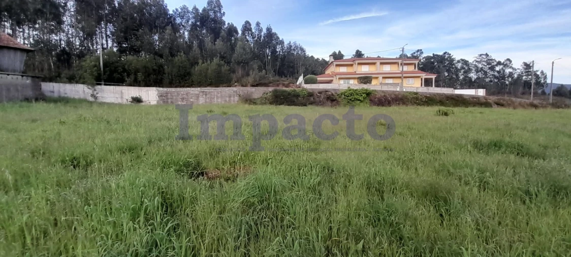 Terreno para Venda em Canedo, Vale e Vila Maior Foto 3