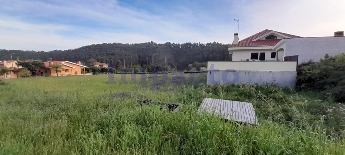 Terreno para Venda em Canedo, Vale e Vila Maior Foto 4